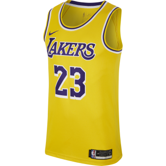 Men's Los Angeles Lakers LeBron James Nike Purple Swingman - Statement  Edition