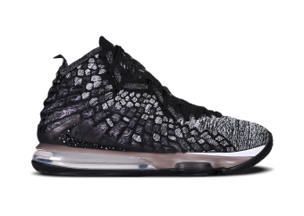 NIKE LEBRON 17 IN THE ARENA