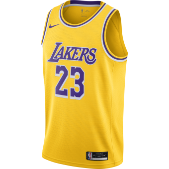 NIKE NBA LOS ANGELES LAKERS LEBRON JAMES SWINGMAN ROAD JERSEY
