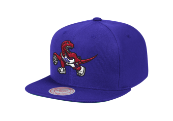MITCHELL & NESS  TEAM GROUND SNAPBACK HWC TORONTO RAPTORS